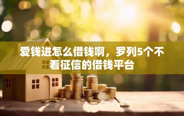 爱钱进怎么借钱啊，罗列5个不看征信的借钱平台