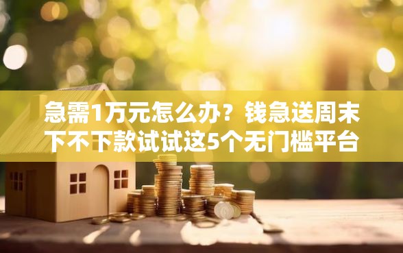 急需1万元怎么办？钱急送周末下不下款试试这5个无门槛平台
