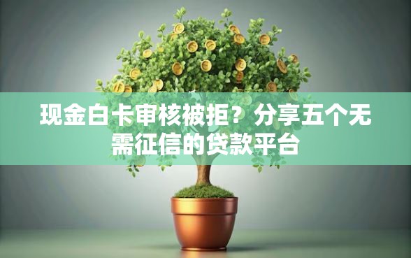 现金白卡审核被拒？分享五个无需征信的贷款平台