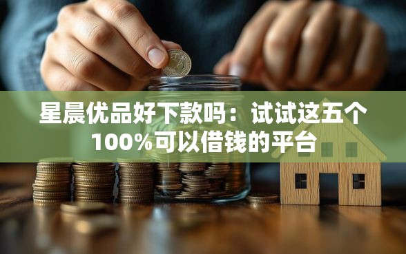 星晨优品好下款吗：试试这五个100%可以借钱的平台