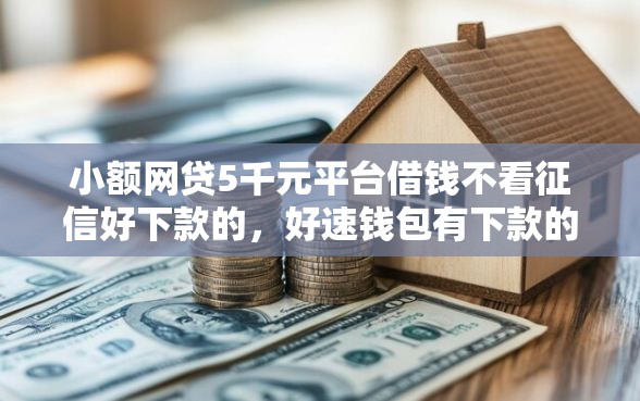 小额网贷5千元平台借钱不看征信好下款的，好速钱包有下款的吗的8个平台介绍