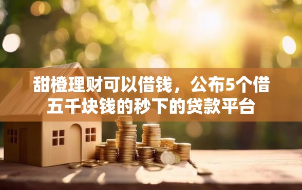 甜橙理财可以借钱，公布5个借五千块钱的秒下的贷款平台