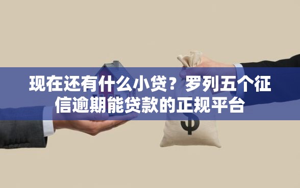现在还有什么小贷？罗列五个征信逾期能贷款的正规平台