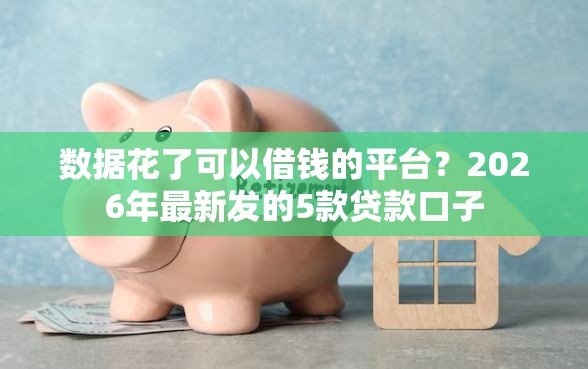 数据花了可以借钱的平台？2026年最新发的5款贷款口子
