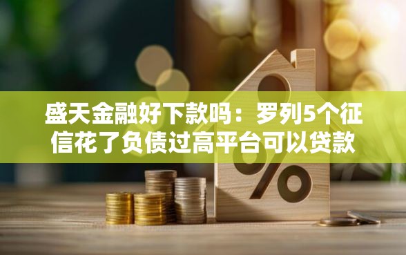 盛天金融好下款吗：罗列5个征信花了负债过高平台可以贷款