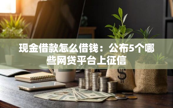 现金借款怎么借钱：公布5个哪些网贷平台上征信