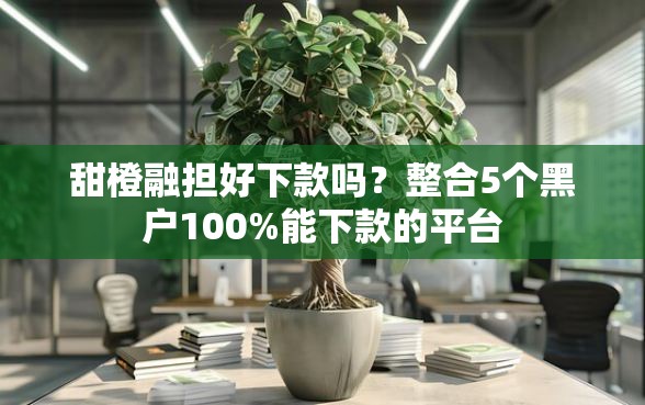 甜橙融担好下款吗？整合5个黑户100%能下款的平台