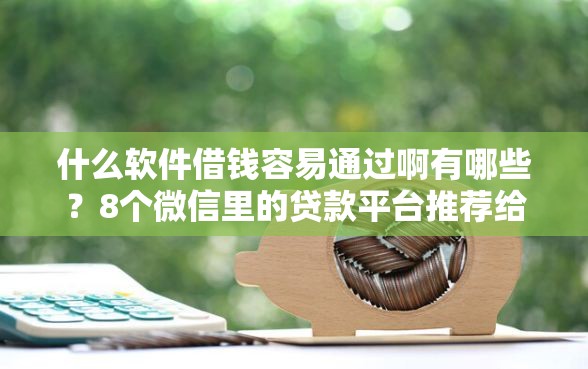什么软件借钱容易通过啊有哪些？8个微信里的贷款平台推荐给你