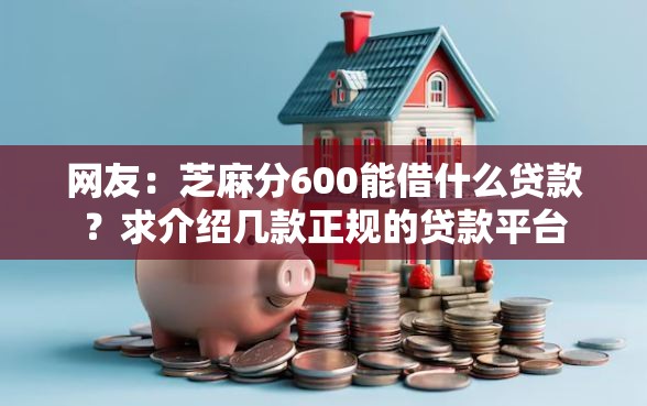 网友：芝麻分600能借什么贷款？求介绍几款正规的贷款平台