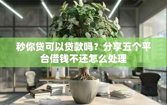 秒你贷可以贷款吗？分享五个平台借钱不还怎么处理