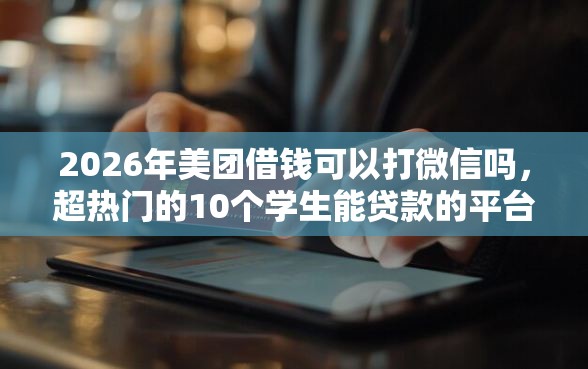 2026年美团借钱可以打微信吗，超热门的10个学生能贷款的平台推荐