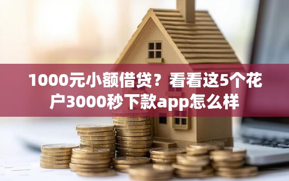 1000元小额借贷？看看这5个花户3000秒下款app怎么样