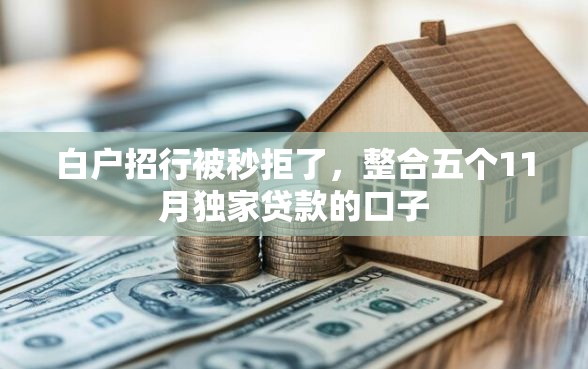 白户招行被秒拒了，整合五个11月独家贷款的口子