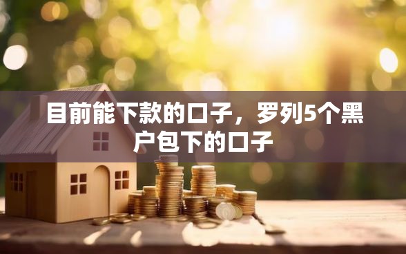 目前能下款的口子，罗列5个黑户包下的口子