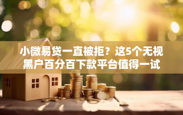 小微易贷一直被拒？这5个无视黑户百分百下款平台值得一试