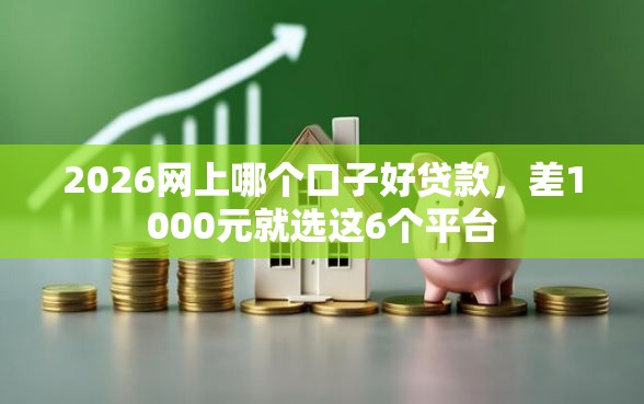 2026网上哪个口子好贷款，差1000元就选这6个平台