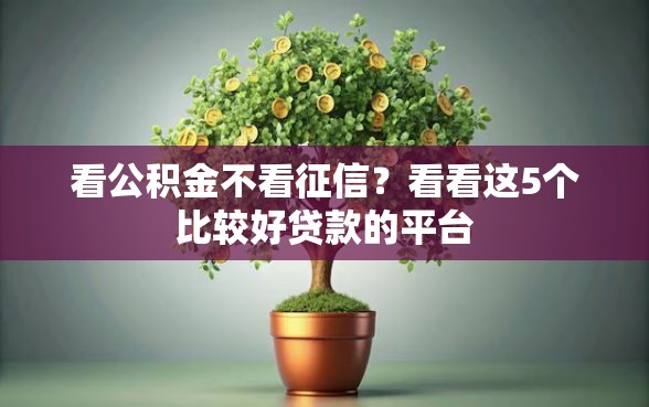 看公积金不看征信？看看这5个比较好贷款的平台