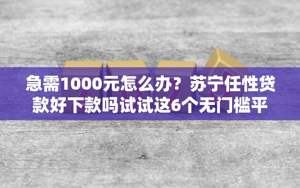 急需1000元怎么办？苏宁任性贷款好下款吗试试这6个无门槛平台