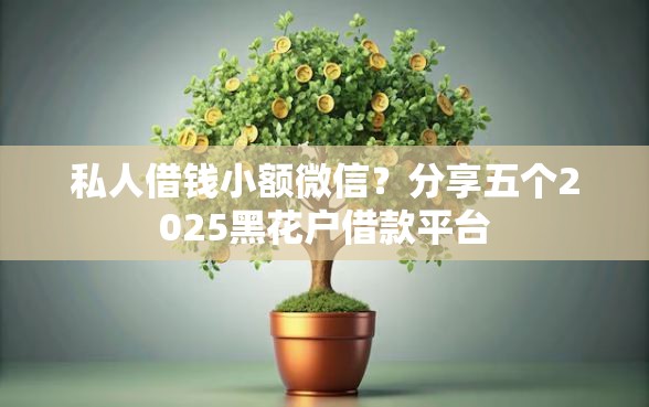 私人借钱小额微信？分享五个2025黑花户借款平台