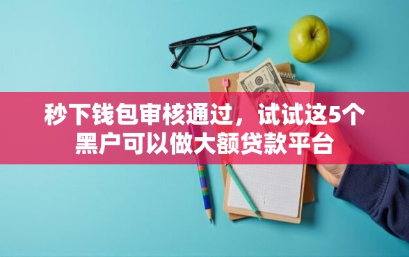 秒下钱包审核通过，试试这5个黑户可以做大额贷款平台