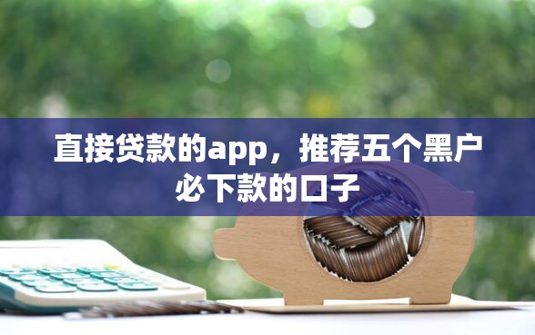 直接贷款的app，推荐五个黑户必下款的口子