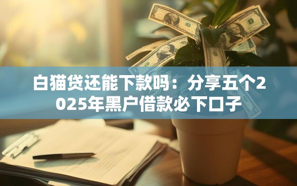 白猫贷还能下款吗：分享五个2025年黑户借款必下口子
