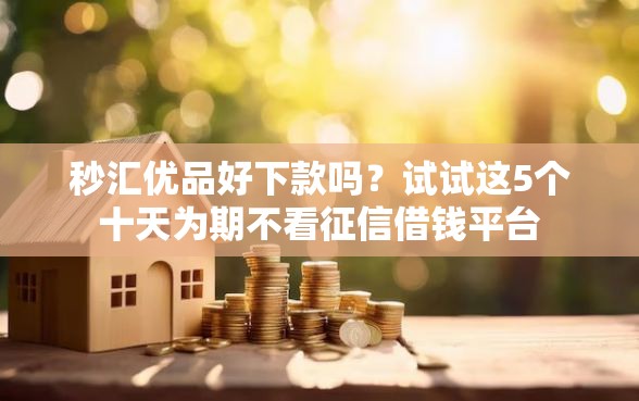 秒汇优品好下款吗？试试这5个十天为期不看征信借钱平台