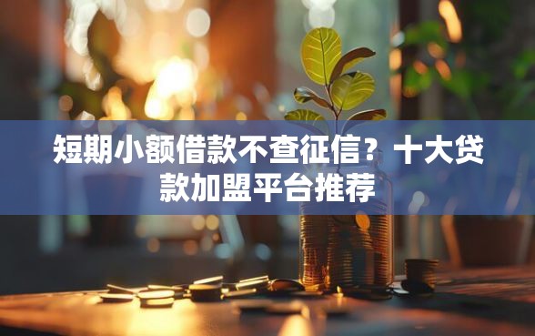 短期小额借款不查征信？十大贷款加盟平台推荐