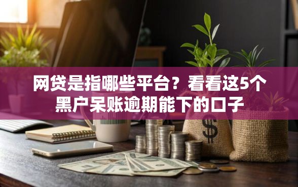 网贷是指哪些平台？看看这5个黑户呆账逾期能下的口子