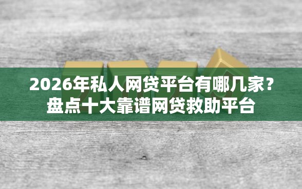 2026年私人网贷平台有哪几家？盘点十大靠谱网贷救助平台