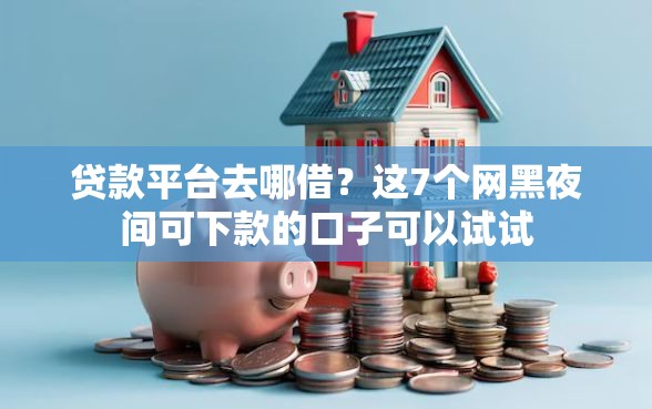 贷款平台去哪借？这7个网黑夜间可下款的口子可以试试