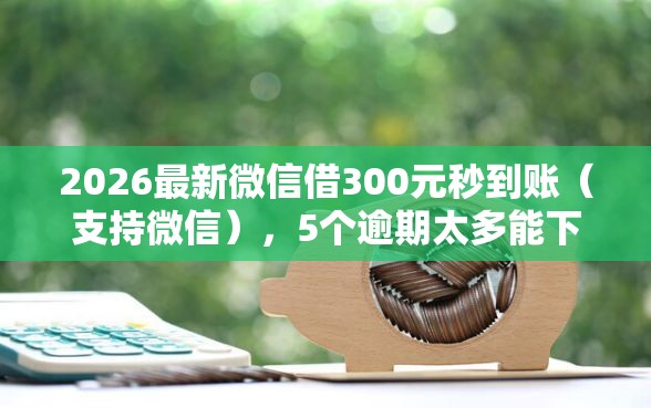 2026最新微信借300元秒到账（支持微信），5个逾期太多能下款平台无私分享