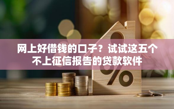 网上好借钱的口子？试试这五个不上征信报告的贷款软件