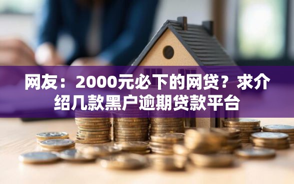 网友：2000元必下的网贷？求介绍几款黑户逾期贷款平台