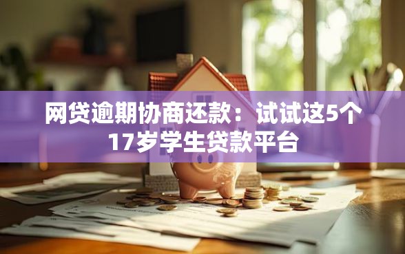 网贷逾期协商还款：试试这5个17岁学生贷款平台