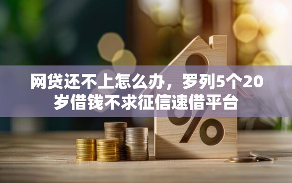 网贷还不上怎么办，罗列5个20岁借钱不求征信速借平台