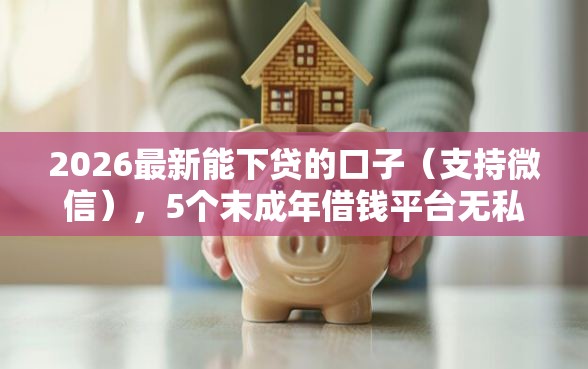 2026最新能下贷的口子（支持微信），5个末成年借钱平台无私分享