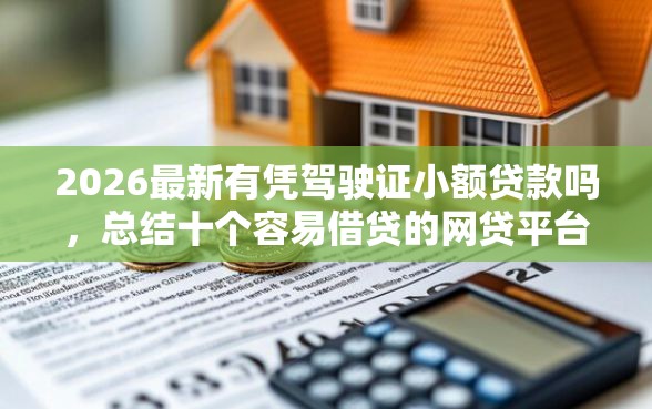 2026最新有凭驾驶证小额贷款吗，总结十个容易借贷的网贷平台！