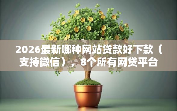 2026最新哪种网站贷款好下款（支持微信），8个所有网贷平台都拒绝了还能借到一万的软件无私分享