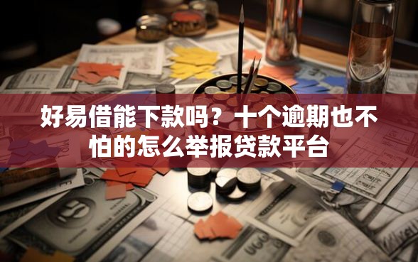 好易借能下款吗？十个逾期也不怕的怎么举报贷款平台
