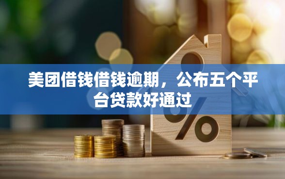 美团借钱借钱逾期，公布五个平台贷款好通过