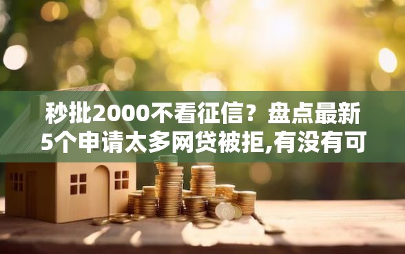 秒批2000不看征信？盘点最新5个申请太多网贷被拒,有没有可以贷款的平台