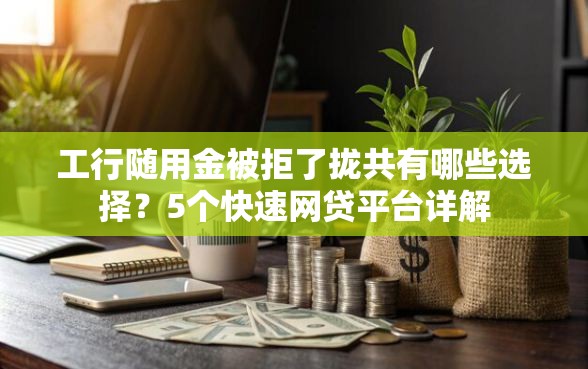 工行随用金被拒了拢共有哪些选择？5个快速网贷平台详解