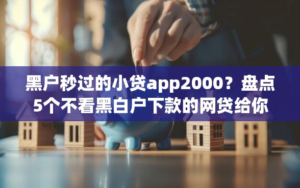黑户秒过的小贷app2000？盘点5个不看黑白户下款的网贷给你参考
