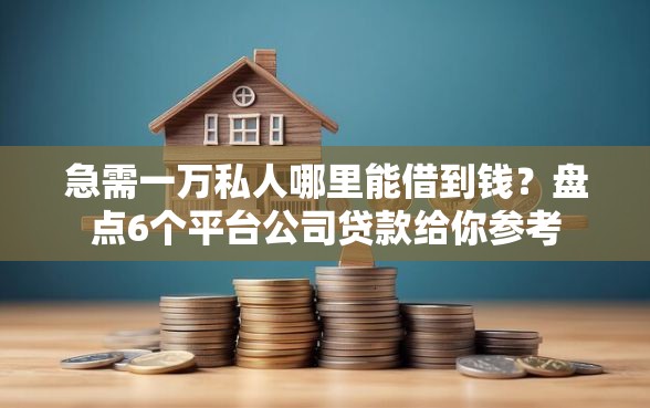 急需一万私人哪里能借到钱？盘点6个平台公司贷款给你参考
