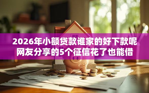 2026年小额贷款谁家的好下款呢网友分享的5个征信花了也能借钱的正规平台我觉得不错！