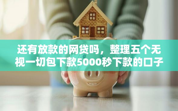 还有放款的网贷吗，整理五个无视一切包下款5000秒下款的口子