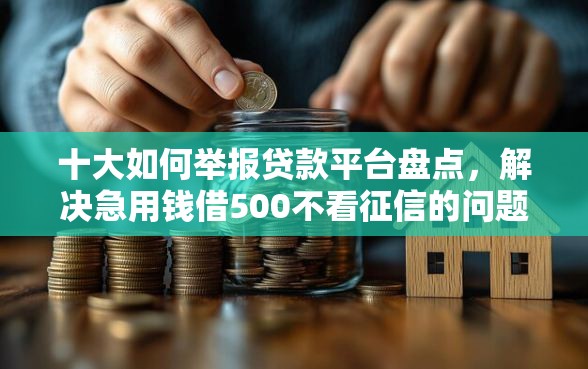 十大如何举报贷款平台盘点，解决急用钱借500不看征信的问题