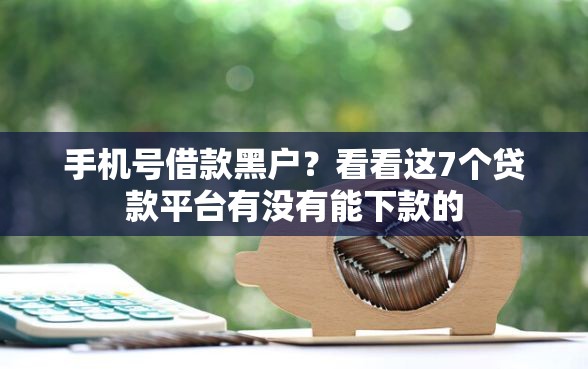 手机号借款黑户？看看这7个贷款平台有没有能下款的