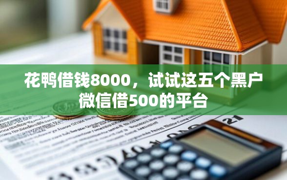 花鸭借钱8000，试试这五个黑户微信借500的平台